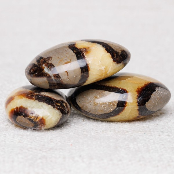 copy of copy of copy of copy of copy of copy of copy of copy of copy of copy of copy of copy of copy of copy of copy of copy of