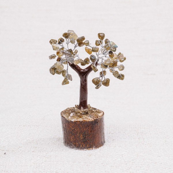 Arbre Petit Labradorite