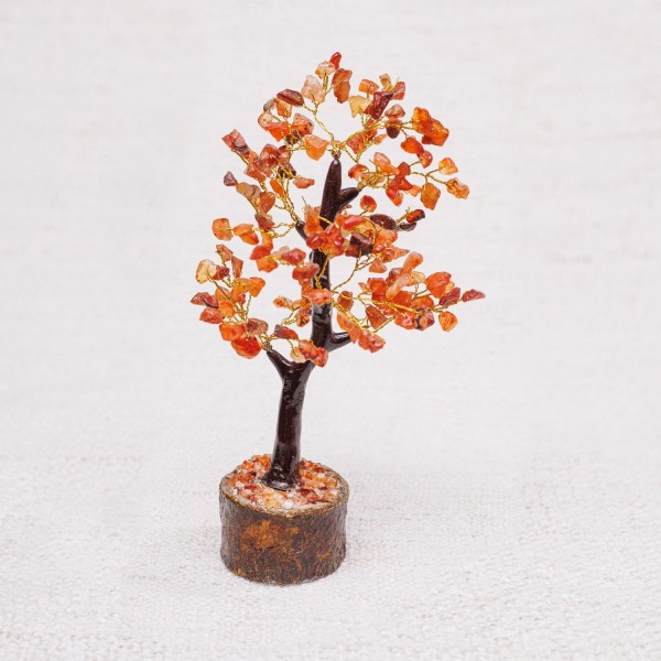 copy of copy of copy of copy of copy of copy of copy of copy of copy of copy of copy of copy of copy of copy of copy of copy of