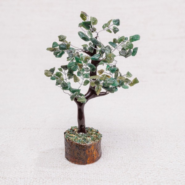 Arbre Moyen Jade