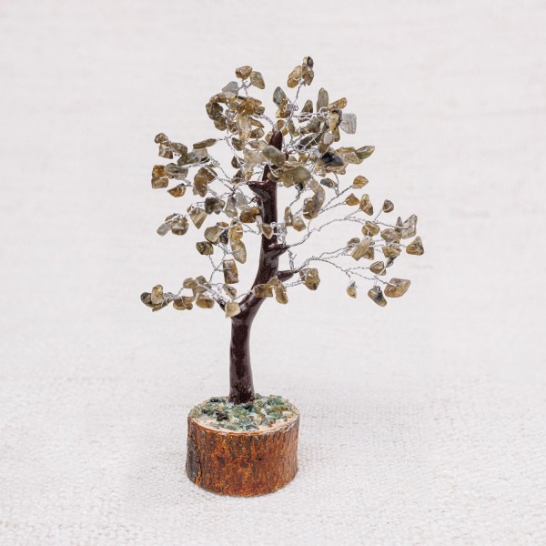 Arbre Moyen Labradorite