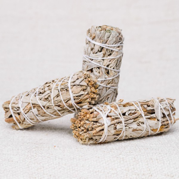 Sauge blanche 10 cm